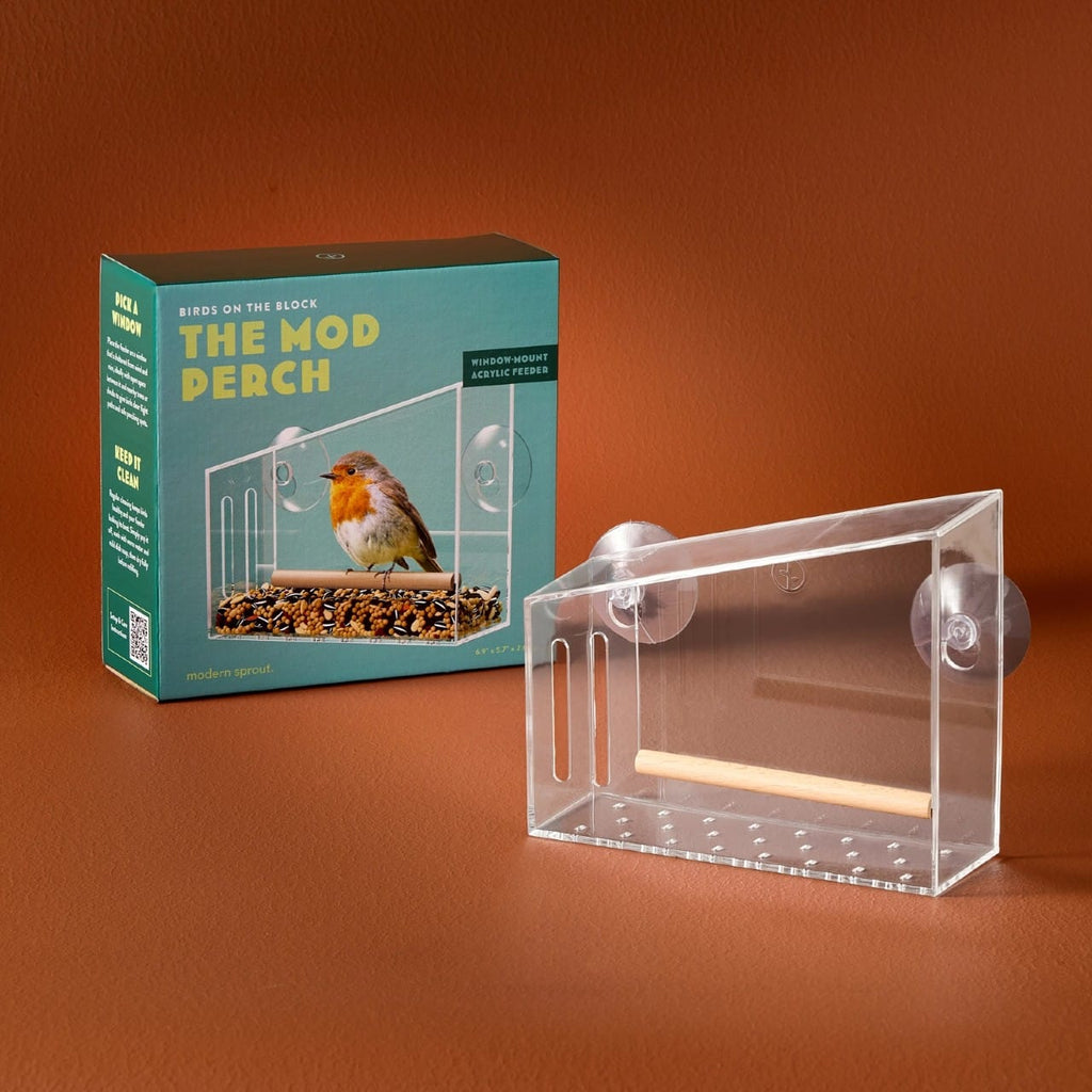 Mod Perch Birds On The Block Bird Feeder Modern Sprout Home - Garden