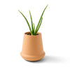 Aloe Terracotta Grow Kit Modern Sprout Home - Garden - Plant & Herb Growing Kits