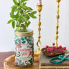Comfort & Joy Holiday Herb Garden Jar Modern Sprout Home - Garden - Plant & Herb Growing Kits