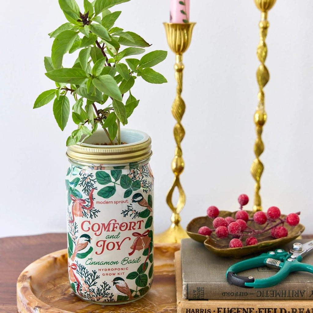 Comfort & Joy Holiday Herb Garden Jar Modern Sprout Home - Garden - Plant & Herb Growing Kits