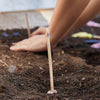 Flower Seed Pop Modern Sprout Home - Garden - Plant & Herb Growing Kits