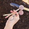 Flower Seed Pop Modern Sprout Home - Garden - Plant & Herb Growing Kits