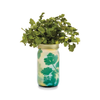 Herb Garden Jar Modern Sprout Home - Garden - Plant & Herb Growing Kits