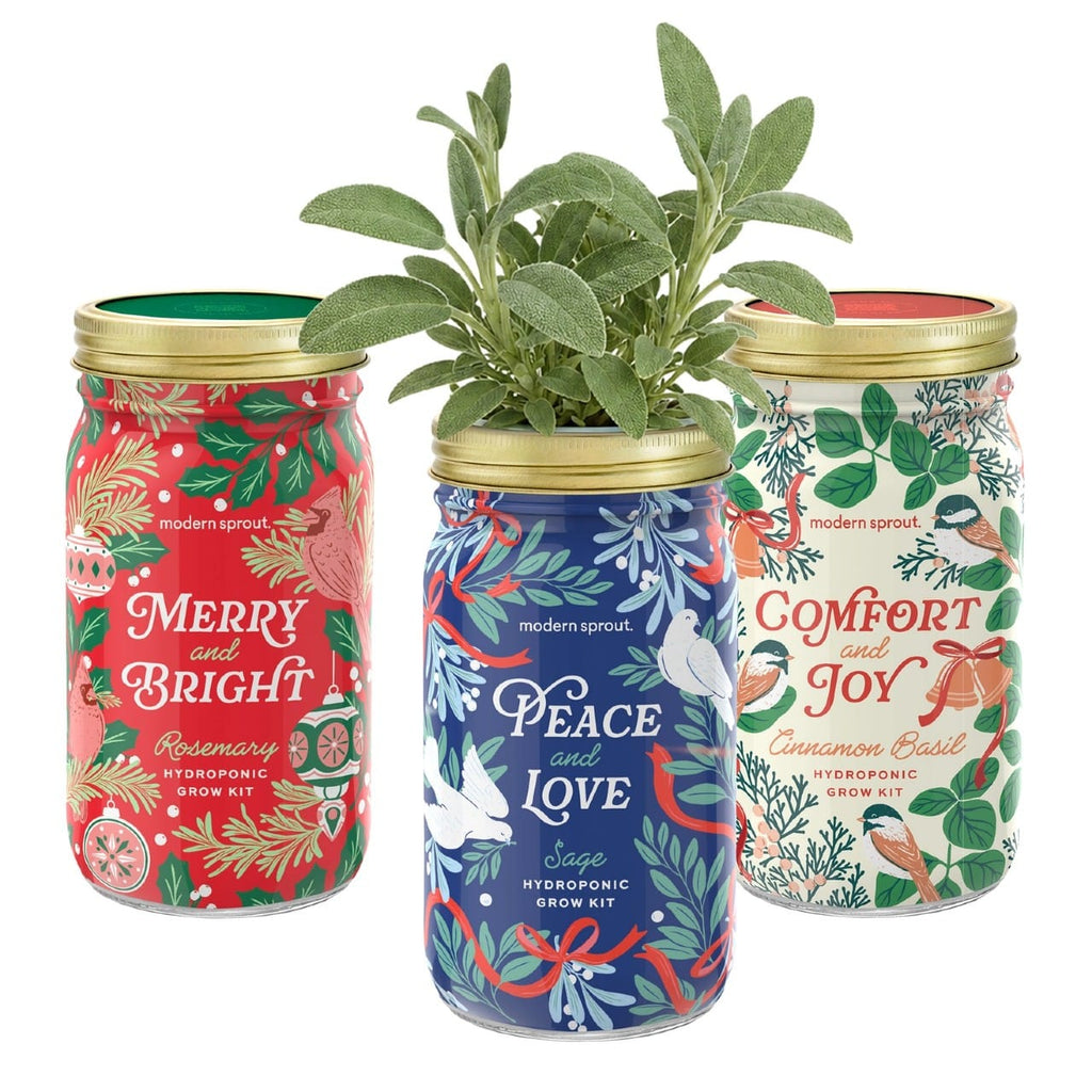 Holiday Herb Garden Jar Modern Sprout Home - Garden - Plant & Herb Growing Kits