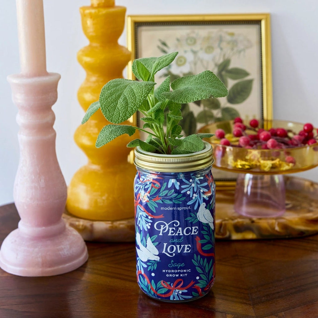 Merry & Bright Holiday Herb Garden Jar Modern Sprout Home - Garden - Plant & Herb Growing Kits