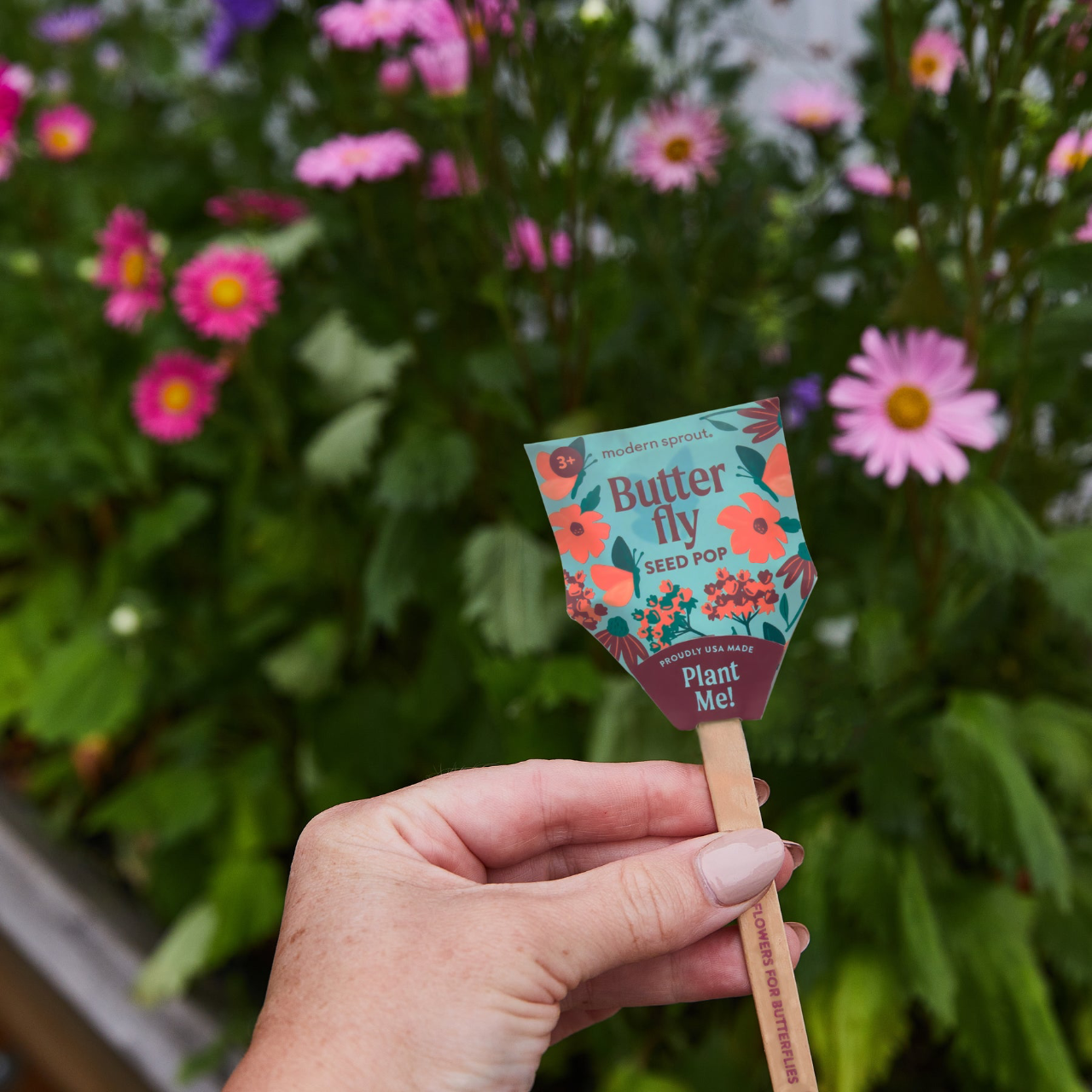 Pollinator Seed Pop Flower Seed Starter - Urban General Store