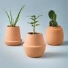Terracotta Grow Kit Modern Sprout Home - Garden - Plant & Herb Growing Kits