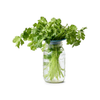Produce Keepers - Set Of 2 Modern Sprout Home - Garden