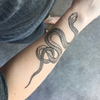 Garden Snake Temporary Tattoo NatureTats Toys & Games