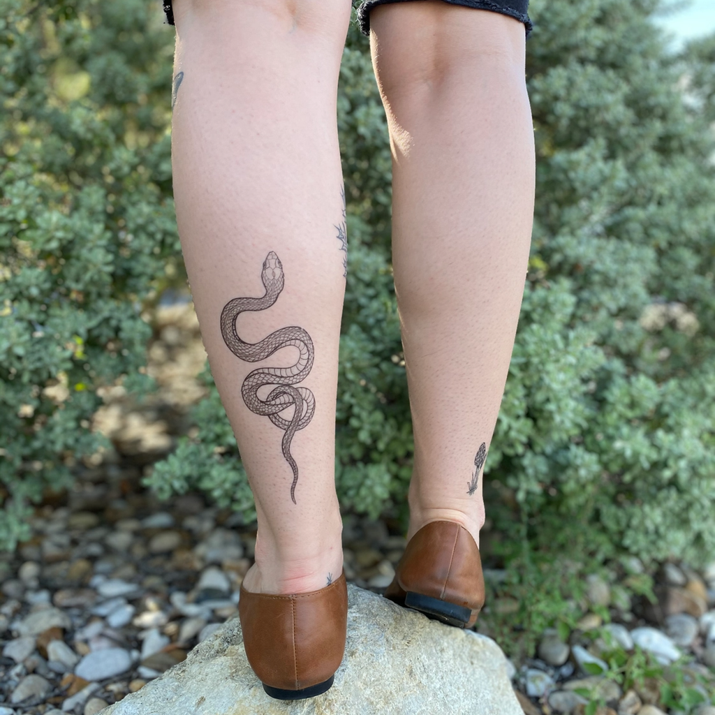 Garden Snake Temporary Tattoo NatureTats Toys & Games