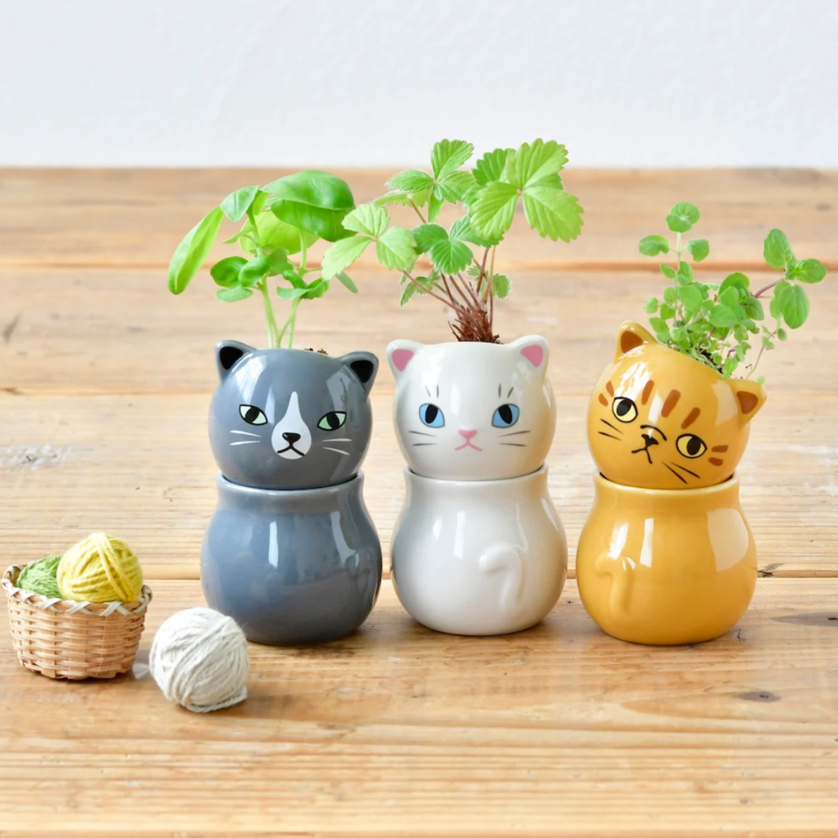 cat plant pot Corocoro Cat Planter – Urban General Store