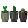 Hachi Kaku Cactus Plant Kit Noted Home - Garden - Plant & Herb Growing Kits