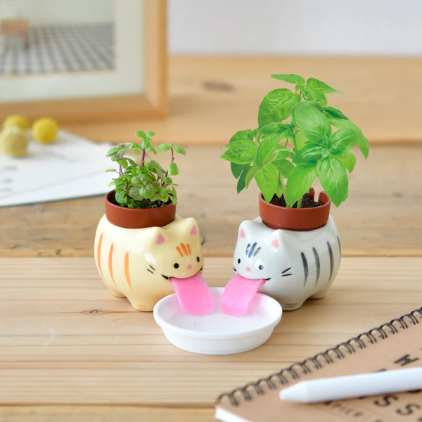 Peropon Tabby Cat Planter Noted Home - Garden - Plant & Herb Growing Kits