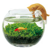Water Garden With Cat - Brown Noted Home - Garden - Plant & Herb Growing Kits
