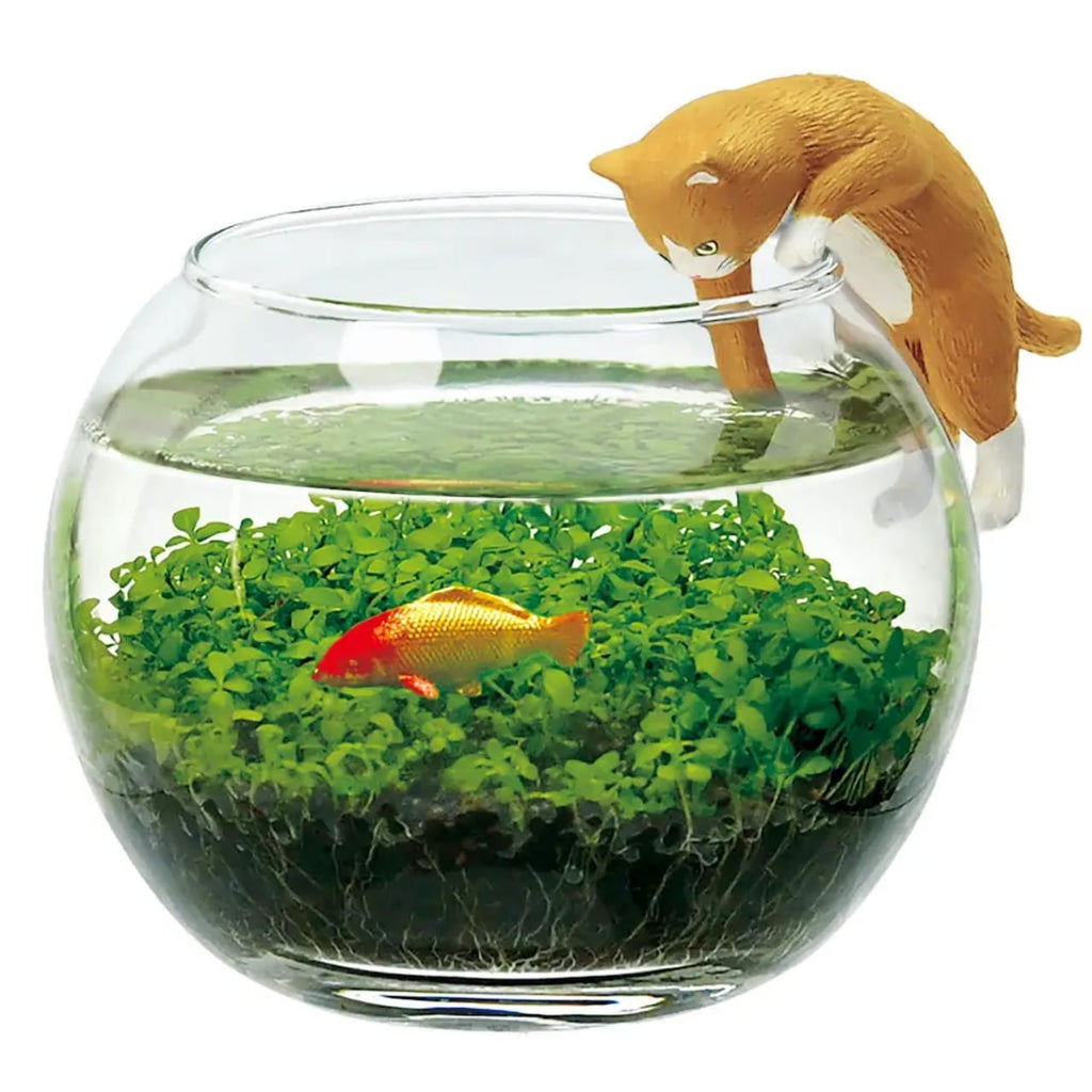 Water Garden With Cat - Brown Noted Home - Garden - Plant & Herb Growing Kits