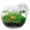 Water Garden With Cat - White Noted Home - Garden - Plant & Herb Growing Kits