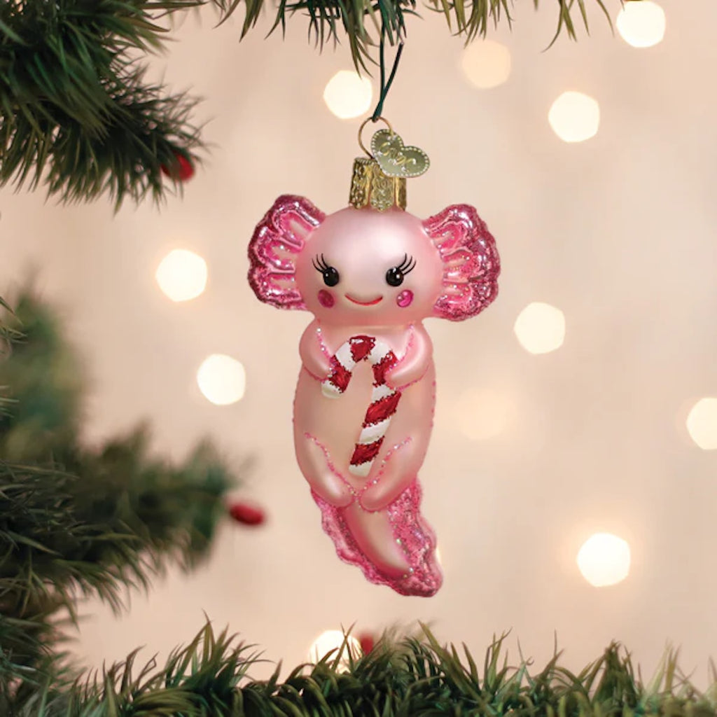 Axolotl With Candy Cane Ornament Old World Christmas Holiday - Ornaments