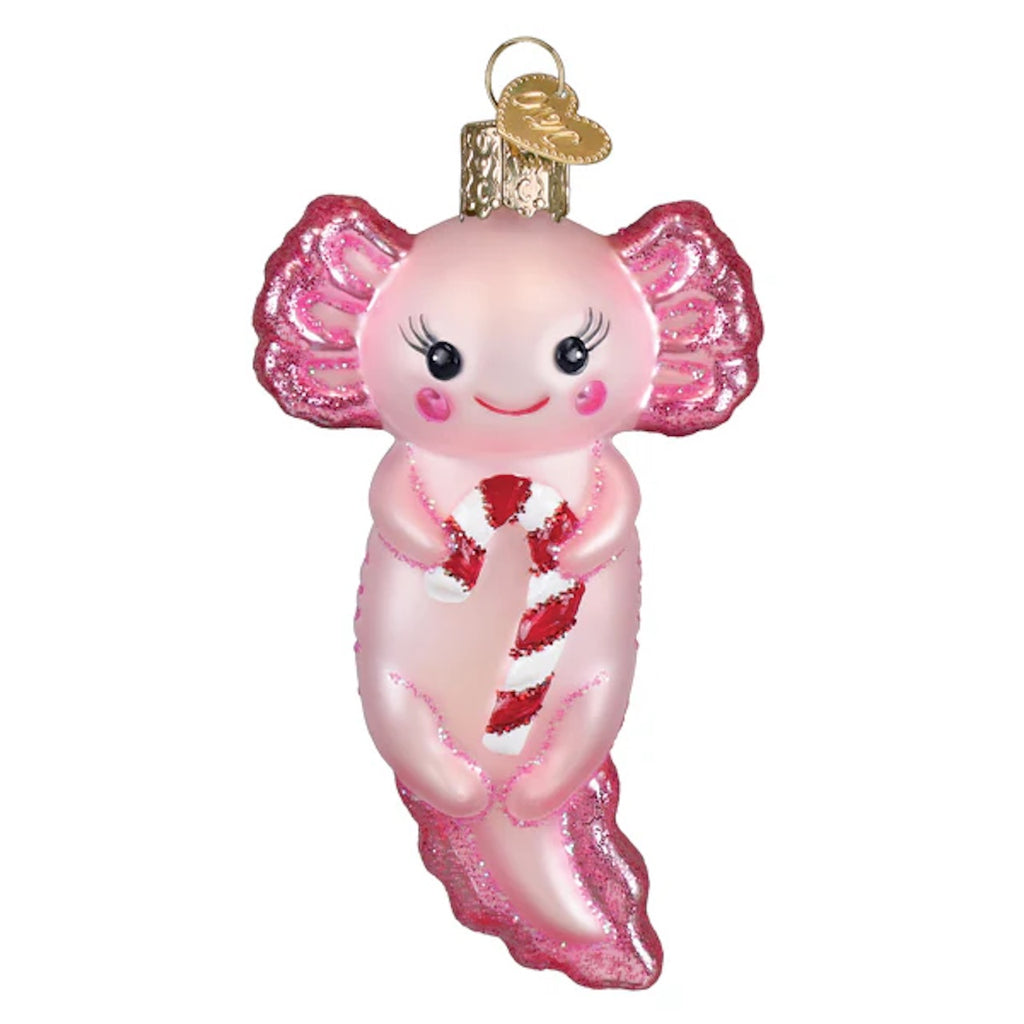 Axolotl With Candy Cane Ornament Old World Christmas Holiday - Ornaments