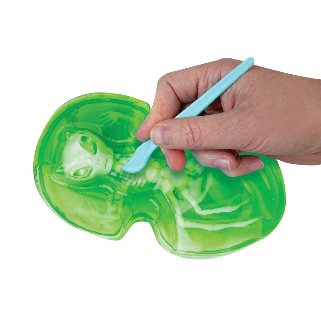 Alien Goo-natomy Toy Orb Toys Toys & Games
