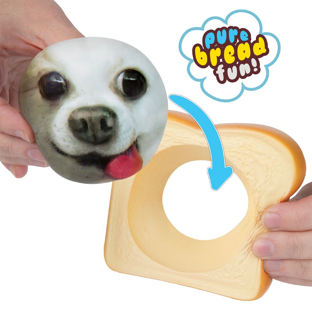 Pets Pure Breads Toy Orb Toys Toys & Games