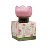 Bronzed Gardenia Tulip Glass Candle - 5.5oz Paddywax Home - Candles
