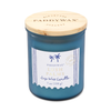 Lush Palms Coastal Blue Frosted Finish Glass Candle - 7oz Paddywax Home - Candles