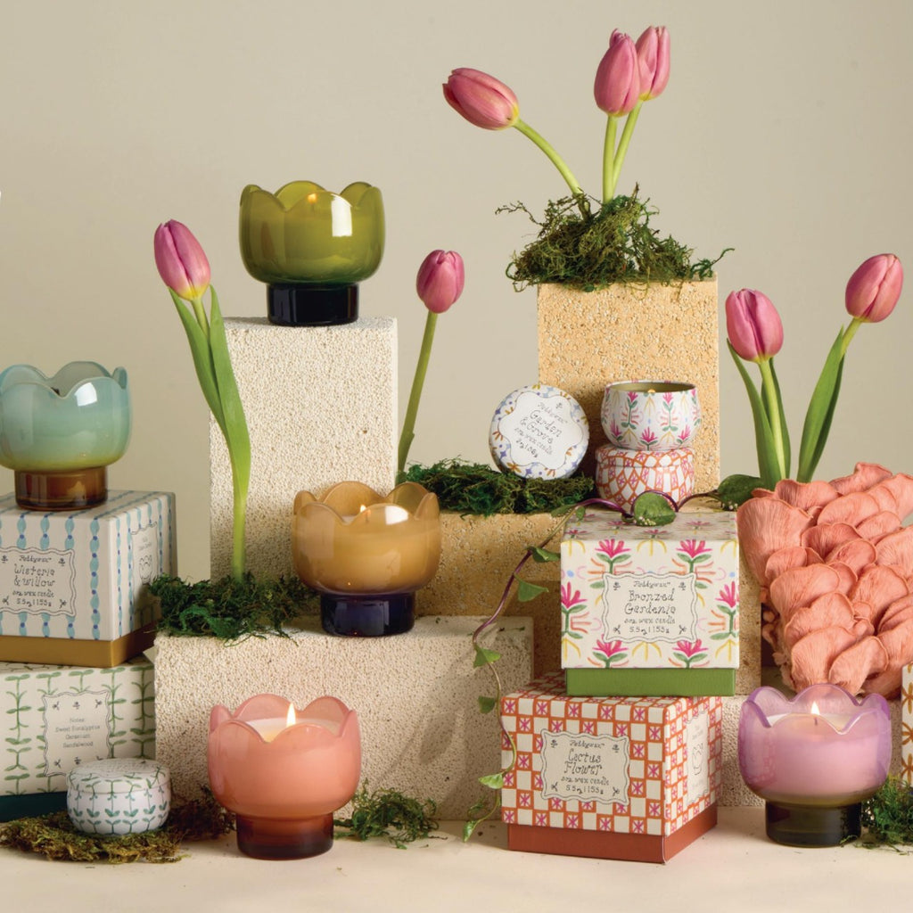 Tulip Glass Candle - 5.5oz Paddywax Home - Candles