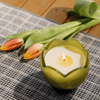 Tulip Glass Candle - 5.5oz Paddywax Home - Candles
