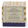 Tulip Glass Candle - 5.5oz Paddywax Home - Candles