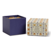 Tulip Glass Candle - 5.5oz Paddywax Home - Candles