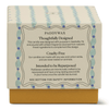 Tulip Glass Candle - 5.5oz Paddywax Home - Candles