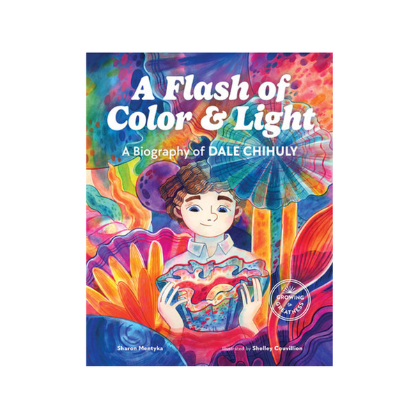 A Flash Of Color And Light Picture Book Penguin Random House Books - Baby & Kids - Picture Books