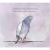 Seven: A Most Remarkable Pigeon Picture Book Penguin Random House Books - Baby & Kids - Picture Books