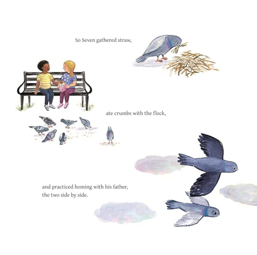 Seven: A Most Remarkable Pigeon Picture Book Penguin Random House Books - Baby & Kids - Picture Books