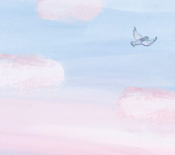 Seven: A Most Remarkable Pigeon Picture Book Penguin Random House Books - Baby & Kids - Picture Books