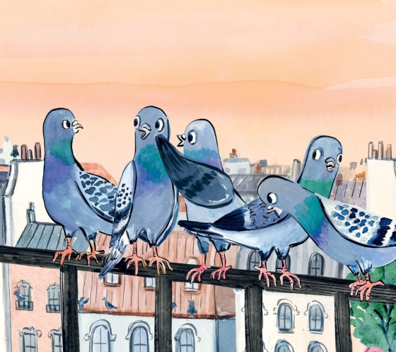 Seven: A Most Remarkable Pigeon Picture Book Penguin Random House Books - Baby & Kids - Picture Books