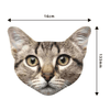 Cat Microfiber Lens Cleaning Cloth for Glasses & Screens Pikkii Apparel & Accessories - Eyewear - Eyewear Accessories