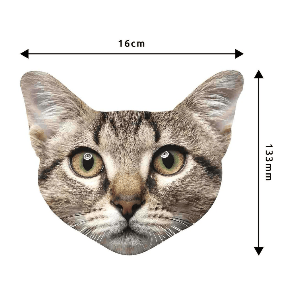 Cat Microfiber Lens Cleaning Cloth for Glasses & Screens Pikkii Apparel & Accessories - Eyewear - Eyewear Accessories