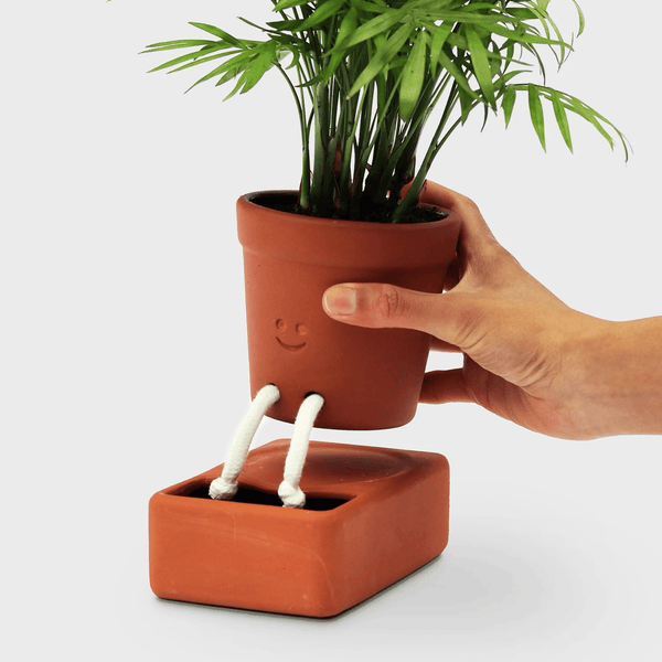 Self Care Planter - Award-Winning Self-Watering Ceramic Planter Pikkii Home - Garden - Vases & Planters