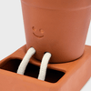 Self Care Planter - Award-Winning Self-Watering Ceramic Planter Pikkii Home - Garden - Vases & Planters