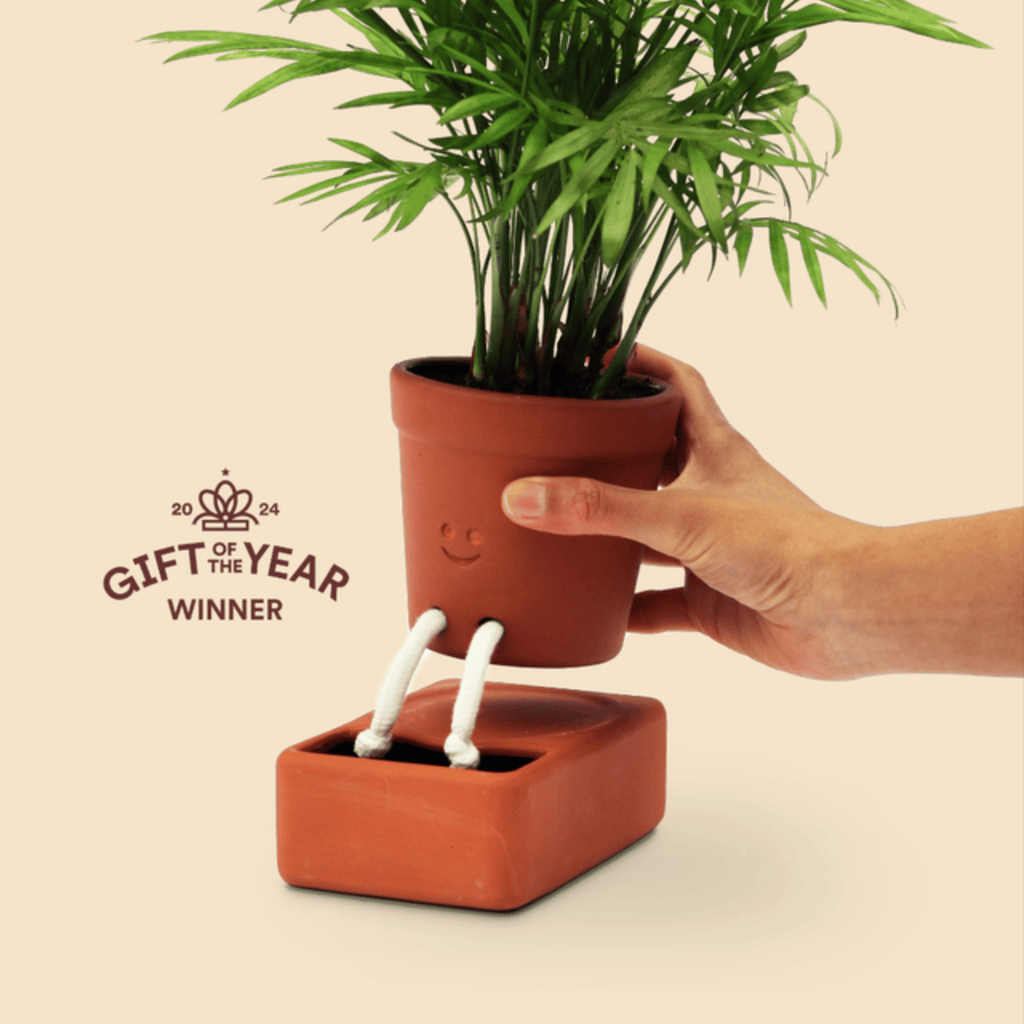 Self Care Planter - Award-Winning Self-Watering Ceramic Planter Pikkii Home - Garden - Vases & Planters