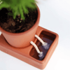 Self Care Planter - Award-Winning Self-Watering Ceramic Planter Pikkii Home - Garden - Vases & Planters