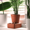 Self Care Planter - Award-Winning Self-Watering Ceramic Planter Pikkii Home - Garden - Vases & Planters