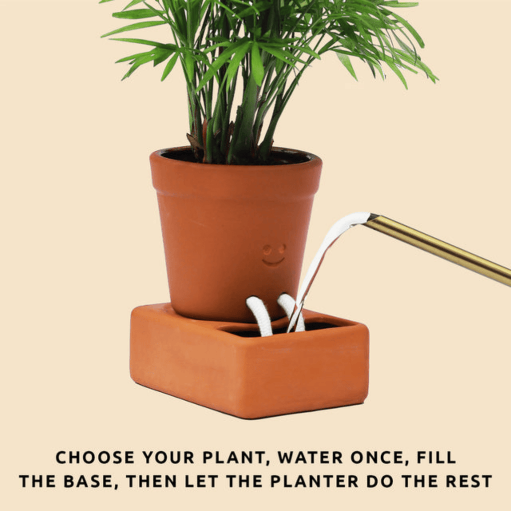 Self Care Planter - Award-Winning Self-Watering Ceramic Planter Pikkii Home - Garden - Vases & Planters