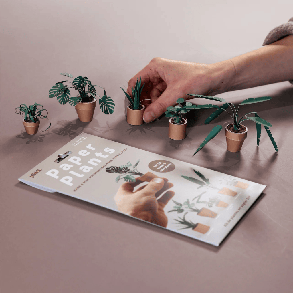 Paper Plants Kit DIY Paper Craft Activity Pikkii Toys & Games - Crafts & Hobbies