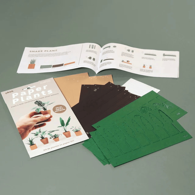 Paper Plants Kit DIY Paper Craft Activity Pikkii Toys & Games - Crafts & Hobbies