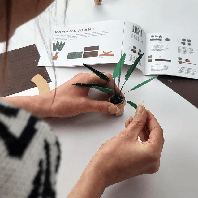 Paper Plants Kit DIY Paper Craft Activity Pikkii Toys & Games - Crafts & Hobbies