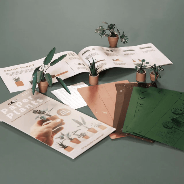 Paper Plants Kit DIY Paper Craft Activity Pikkii Toys & Games - Crafts & Hobbies