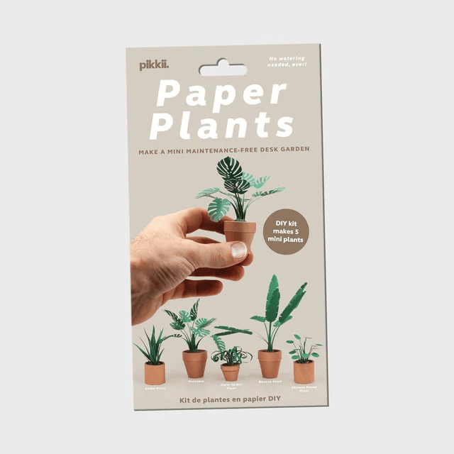 Paper Plants Kit DIY Paper Craft Activity Pikkii Toys & Games - Crafts & Hobbies