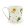 Rude Plants Mug Professor Puzzle Home - Mugs & Glasses